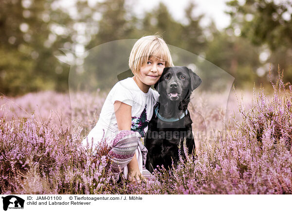 Kind und Labrador Retriever / child and Labrador Retriever / JAM-01100