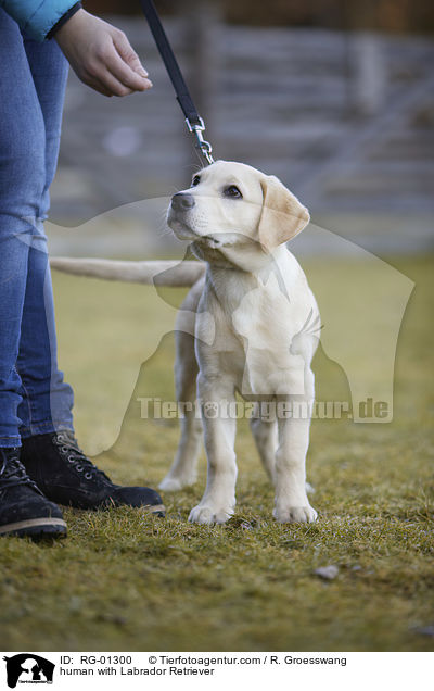 Mensch mit Labrador Retriever / human with Labrador Retriever / RG-01300