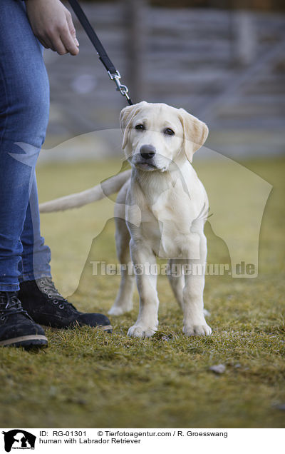 Mensch mit Labrador Retriever / human with Labrador Retriever / RG-01301