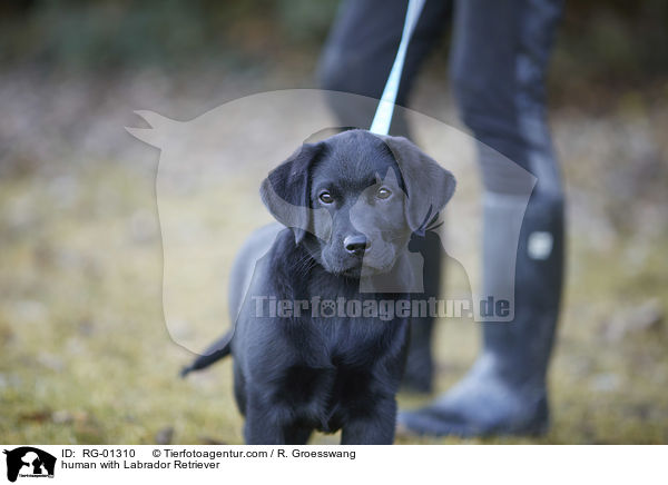 mensch mit Labrador Retriever / human with Labrador Retriever / RG-01310