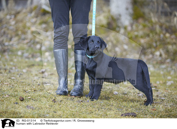 Mensch mit Labrador Retriever / human with Labrador Retriever / RG-01314