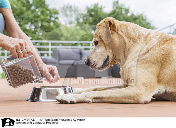 Frau mit Labrador Retriever / woman with Labrador Retriever / CM-01727