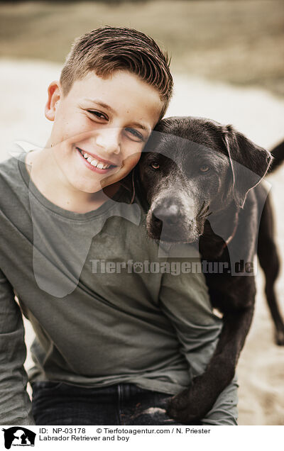 Labrador Retriever und Junge / Labrador Retriever and boy / NP-03178