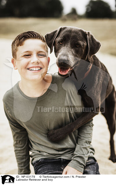 Labrador Retriever und Junge / Labrador Retriever and boy / NP-03179