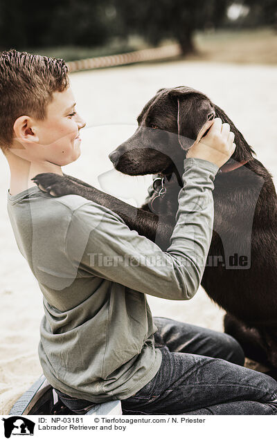 Labrador Retriever und Junge / Labrador Retriever and boy / NP-03181