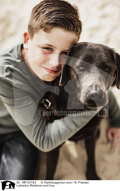 Labrador Retriever und Junge / Labrador Retriever and boy / NP-03183