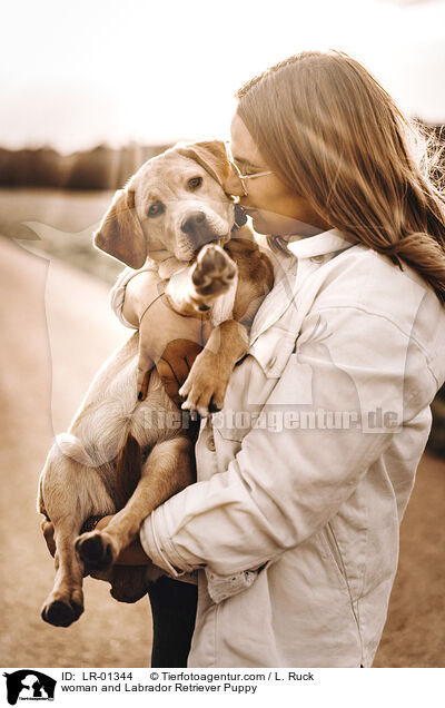 woman and Labrador Retriever Puppy / LR-01344