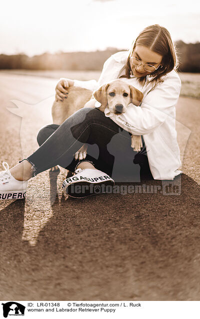 Frau und Labrador Retriever Welpe / woman and Labrador Retriever Puppy / LR-01348