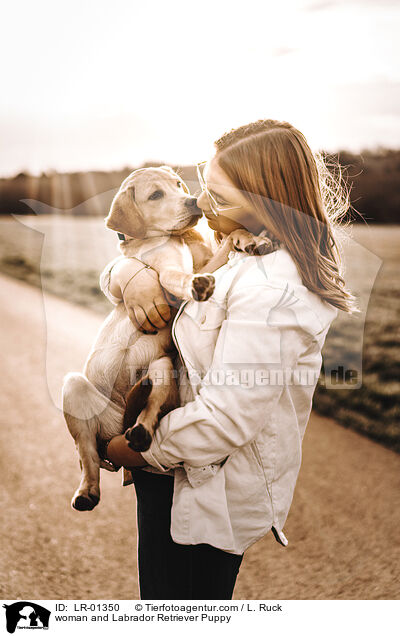 Frau und Labrador Retriever Welpe / woman and Labrador Retriever Puppy / LR-01350