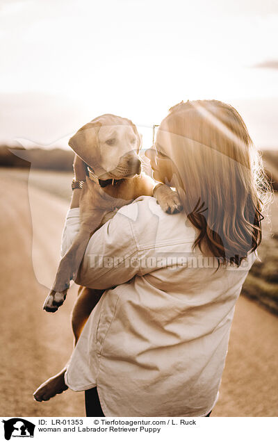 Frau und Labrador Retriever Welpe / woman and Labrador Retriever Puppy / LR-01353