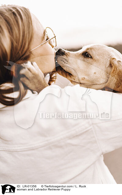 Frau und Labrador Retriever Welpe / woman and Labrador Retriever Puppy / LR-01356