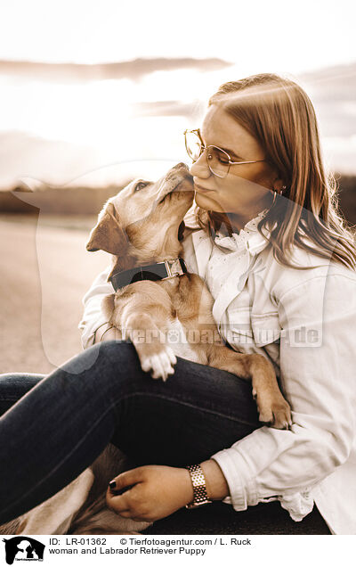 woman and Labrador Retriever Puppy / LR-01362