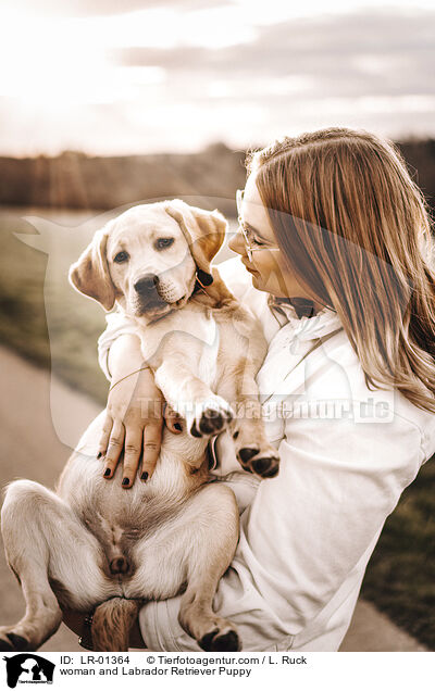 woman and Labrador Retriever Puppy / LR-01364
