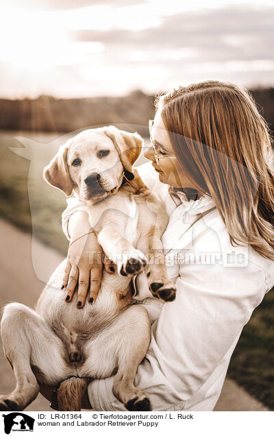 Frau und Labrador Retriever Welpe / woman and Labrador Retriever Puppy / LR-01364