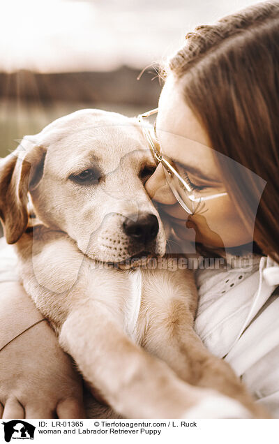 Frau und Labrador Retriever Welpe / woman and Labrador Retriever Puppy / LR-01365