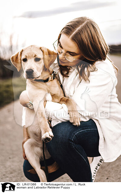 woman and Labrador Retriever Puppy / LR-01366