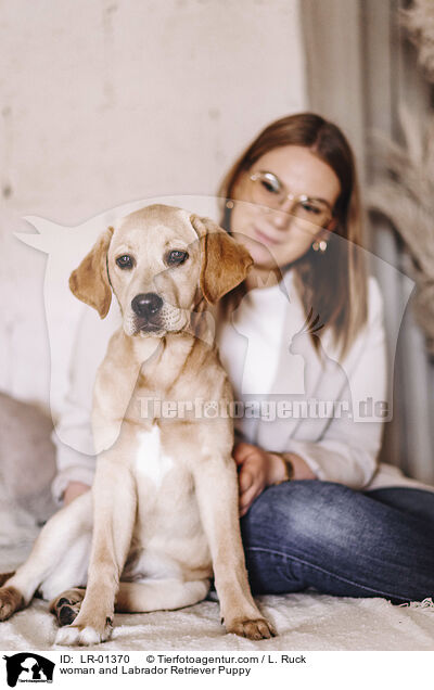 woman and Labrador Retriever Puppy / LR-01370