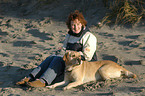 Labrador on beach