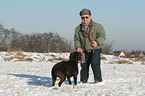 Senior is playing with Labrador Retriever