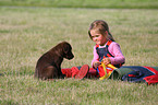 kid and Labrador Retriever puppy
