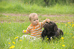 child and Labrador Retriever