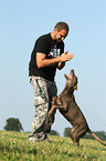 man with Labrador Retriever