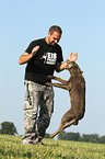 man with Labrador Retriever