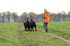 child and dogs