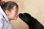 woman and Labrador Retriever Puppy