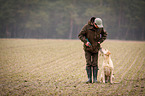 blonde Labrador Retriever