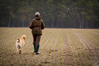 blonde Labrador Retriever