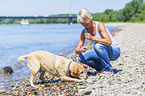 woman with Labrador Retriever