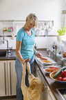 woman with Labrador Retriever