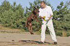 man with Labrador Retriever