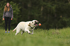 woman with Labrador Retriever