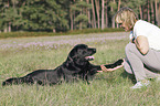 woman with Labrador Retriever