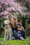 woman and 2 dogs