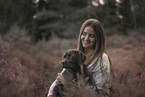 young Labrador Retriever