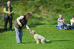 woman and Lagotto Romagnolo