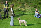 woman and Lagotto Romagnolo