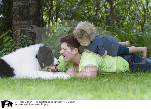 Menschen mit Landseer Welpe / humans with Landseer Puppy / HBO-03154