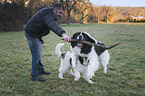 man with Landseer