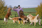 Leonberger