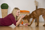 woman and young Magyar Vizsla