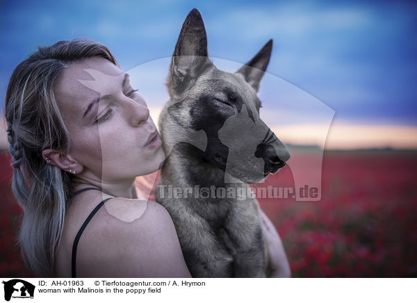 Frau mit Malinois im Mohnfeld / woman with Malinois in the poppy field / AH-01963