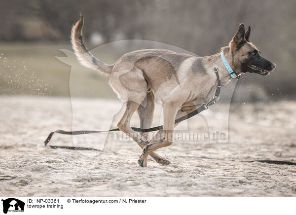 Schleppleinentraining / towrope training / NP-03361