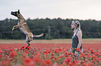 woman with  Malinois in the poppy field