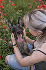 woman with Malinois in the poppy field