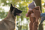 baby and Malinois