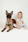 Malinois